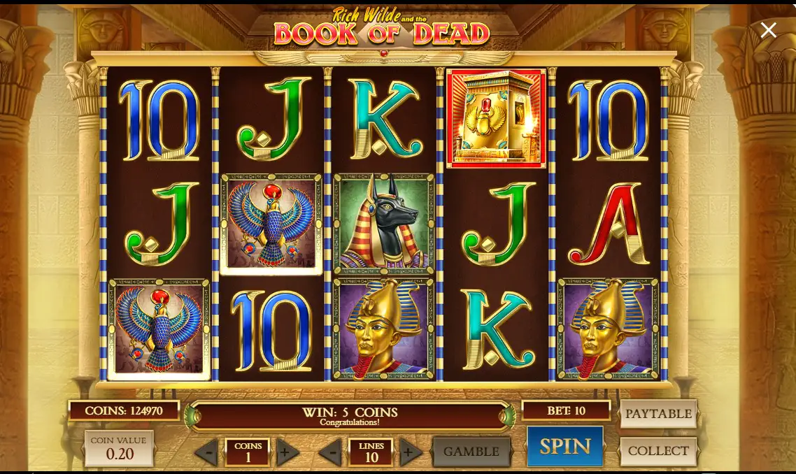 How to Play Book of the Dead in a Casino